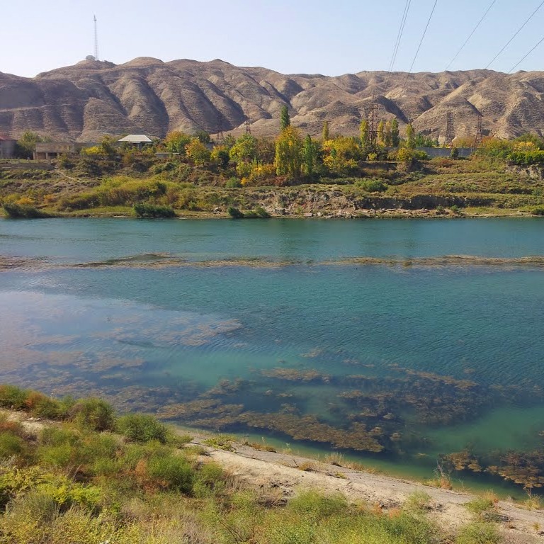 	Shirvan-Salyan 	